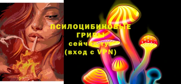 стаф Лабытнанги