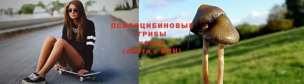 МДПВ Барнаул